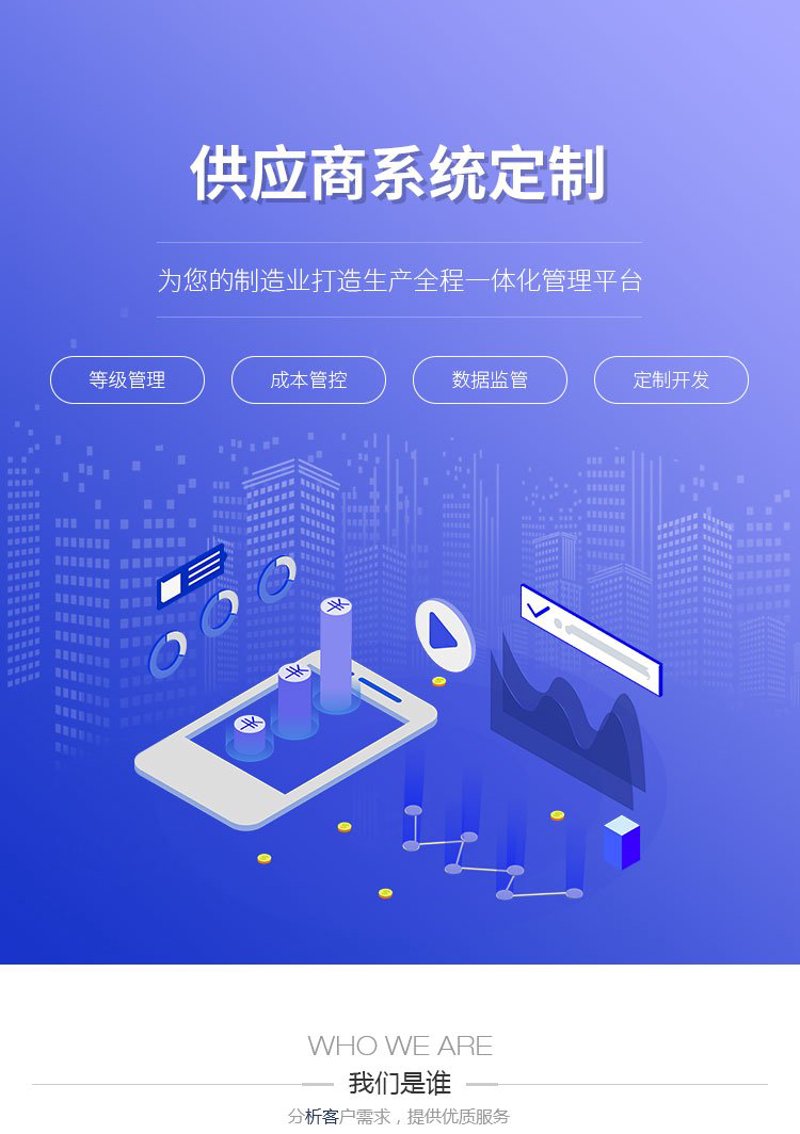 如何选择最适合自己的IT解决方案?——以系统定制为例